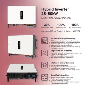 อินเวอร์เตอร์ไฮบริดพลังงานแสงอาทิตย์ Pheilix Hybrid 30kw สามเฟส HV แบตเตอรี่ 2 Mppts สำหรับระบบพลังงานแสงอาทิตย์ - Product Image 5