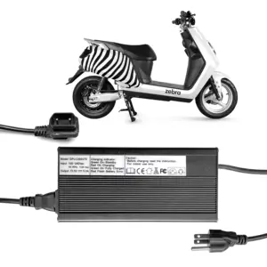 Elyx Zebra DAZZ Electric Scooters Parts 60V30Ah Li Battery Portable Fast Chargers And Battery Replace