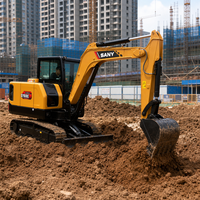 Mini-excavatrice sur chenilles SANY SY16C d'occasion, 1,9 tonne, d'origine chinoise, petite pelle hydraulique de seconde main pour travaux de jardinage et agricoles
