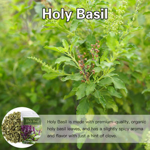 Private Label Holy Basil Chá <span class=keywords><strong>Tulsi</strong></span> Manjericão Chá Chá de Ervas Secas Por Atacado - Product Image 6