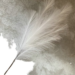 <span class=keywords><strong>Herbe</strong></span> <span class=keywords><strong>de</strong></span> <span class=keywords><strong>la</strong></span> <span class=keywords><strong>Pampa</strong></span> Artificielle en Soie pour <span class=keywords><strong>la</strong></span> Décoration Bohème <span class=keywords><strong>de</strong></span> <span class=keywords><strong>la</strong></span> Maison, du Salon, <span class=keywords><strong>de</strong></span> <span class=keywords><strong>la</strong></span> Cuisine et des Mariages - Product Image 5