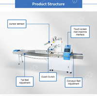 ZS450SE Automatische Groente-en Horizontale Kussen Soort Verpakking Machine Met Datum Afdrukken