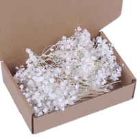 50pcs Rumput Pampas Kering Buatan Tangan, Bunga Baby's Breath Asli, Tahan Lama, Untuk Karangan Bunga Pernikahan, Natal, Hari Ibu