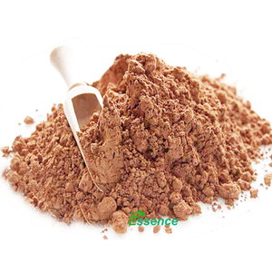 純粋なカカオパウダーサプリメント生カカオ豆粉末有機テオブロマカカオ種子粉末 - Product Image 2