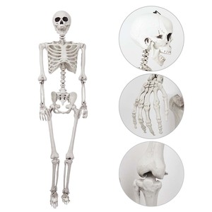 Squelette articulé réaliste grandeur nature de 185 cm (6 pieds) pour Halloween, maison hantée, intérieur et extérieur - Product Image 5