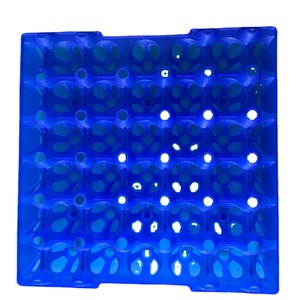 Plastic Egg Tray cartons Incubator 30holes Chicken Egg Tray Reusable Packing Crate