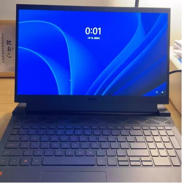 Professional Supply  G15-5510 15.6 Inches Gaming Laptop I5 10th Gen 3060 Graphic Card