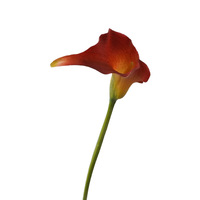 Nouvelles fleurs artificielles en caoutchouc souple, type Calla Lily néerlandaise, aspect naturel, fabriquées à la main en Chine, pour mariage, Pâques, décoration intérieure