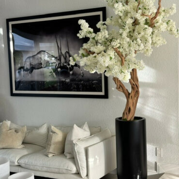 Bianco