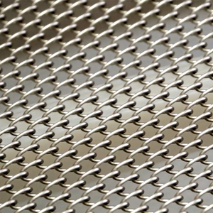 Kurutulmuş <span class=keywords><strong>mango</strong></span> için bariyerli 304 Paslanmaz Çelik/316 Paslanmaz Çelik Zincir Bağlantılı Konveyör Bantını özelleştirin - Product Image 6