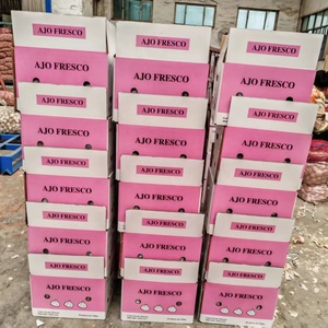Buon prezzo 2025 vendite calde nuovo aglio fresco con 10KG /20KG sacchetto della maglia rosso aglio e puro aglio bianco per il commercio all'ingrosso - Product Image 4