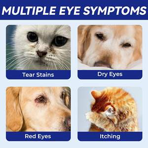 Gouttes pour les <span class=keywords><strong>yeux</strong></span> pour chiens de marque privée soulagement des <span class=keywords><strong>yeux</strong></span> secs rince-<span class=keywords><strong>yeux</strong></span> pour animaux de compagnie nettoyant pour les taches de larmes pour chiens <span class=keywords><strong>et</strong></span> chats - Product Image 3