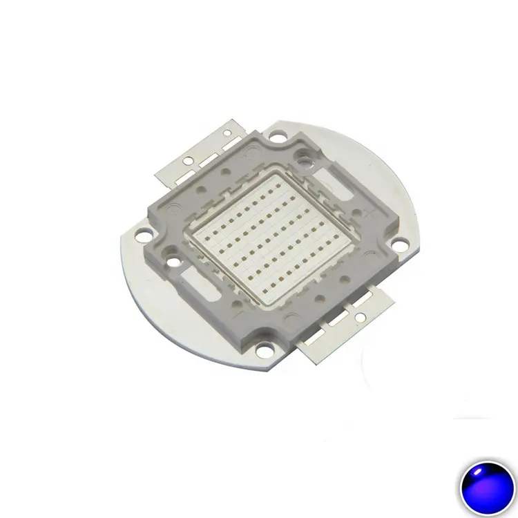 Czinelight Cob Led Chip 395nm Tím Uv 220V 50 Wát 100 Wát Chiếu Sáng Và Mạch Thiết Kế 2 Năm INGAN ROHS Ce