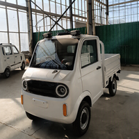 Camionnette électrique directement de l'usine, véhicule utilitaire électrique 4 roues pour adultes, véhicule utilitaire agricole, camion électrique 2 portes