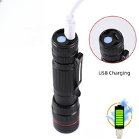 Mini lampe torche LED EDC pratique en alliage d'aluminium de haute qualité, bon marché, avec logo gratuit, étanche IP54, lumière du jour 6000K, lampe torche stylo
