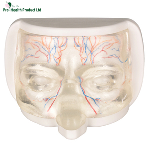 Simulateur ophtalmique : Kit d'entraînement à l'injection <span class=keywords><strong>de</strong></span> vaisseaux sanguins simulés pour étudiants en médecine, médecins, aide pédagogique, sciences médicales, OEM - Product Image 1