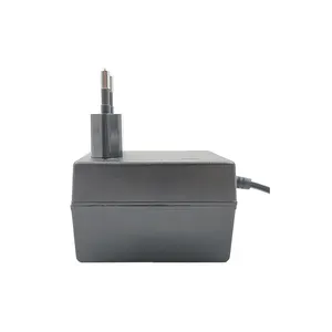 220V 240V Tot 48V 24V 1.5a Transformator Stroomadapter