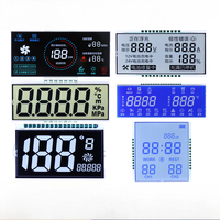 Écran LCD monochrome du segment OEM pour les appareils ménagers Écran LCD monochrome personnalisé de 1 pouce 320x240
