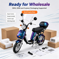 Moped électrique pour adultes, rétro, avec phare rond, scooter électrique avec pare-brise, boîte arrière, double amortisseur, violet