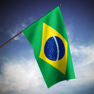 Vente en gros de drapeaux brésiliens de grande taille en polyester imprimé 3x5 pieds, Bandeira Do Brasil, Bandiera, drapeau brésilien 3x5 - Product Image 4