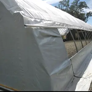 Sinespan-invernadero de túnel de polietileno para agricultura, invernadero para cultivo de setas de cáñamo con estructura galvanizada, película blanca y negra