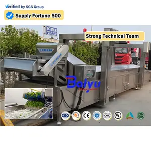 Fresh Food Processing Steam Vegetable Fruits Blanching Machine