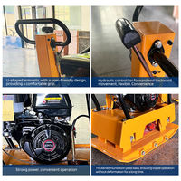 Compacteur de plaques à moteur essence pour sols, vente directe usine