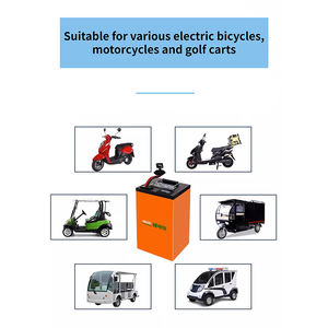 Vente directe d'usine <span class=keywords><strong>Batterie</strong></span> de vélo électrique <span class=keywords><strong>48v</strong></span> 60V 30ah 40ah 50ah 70ah 110Ah 1000w 2000W <span class=keywords><strong>Batterie</strong></span> en <span class=keywords><strong>bouteille</strong></span> pour vélo électrique - Product Image 6