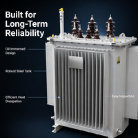 Transformador de 50 kVA con Núcleo Trifásico, Montado en Poste, Sumergido en Aceite, de Acero al Silicio, Estándar IEC60076, Voltaje Personalizado en KVA