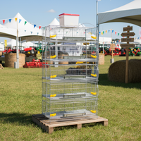 Vente d'usine 2026 : Cages à cailles pour l'élevage de poulets pondeurs