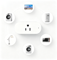 Prise intelligente Wi-Fi OEM/ODM FY12 US compatible avec plusieurs protocoles, compatible Alexa Google Home, contrôle par application, domotique