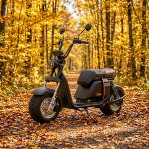 El Más Vendido en Brasil, Scooter de Dos Ruedas de 1000w 20ah con Batería de Litio, Disco de Aluminio, Neumático Grueso Ss701, Motor Potente de 1000w - Product Image 1