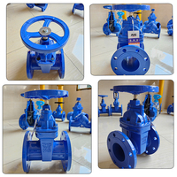 Vanne à opercule en fonte ductile à joint souple QT450/GGG50, joint EPDM, tige de vanne non montante
