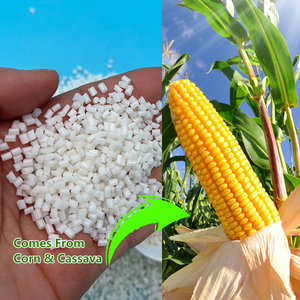 <span class=keywords><strong>BioGreen</strong></span> Ecoplastics PLA Virgen PBAT Grado de Moldeo Bioplástico 100% Biodegradable Certificado BPI Materia Prima Plástica Premium - Product Image 3