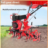 Motoculteur diesel compact pour usage agricole domestique, à deux roues motrices, guidé à la main, garantie 1 an, 55 kg