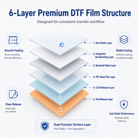 Film DTF PET Premium en Rouleau 30cm 60cm, Film de Transfert Thermique Antistatique pour Impression sur Vêtements, T-shirts et Hoodies - Ventes Flash