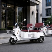 Tricycle Électrique Passager Double Siège Panier Avant Phare LED Porte-Bagages Arrière Jiangzi Shopping Famille Vente en Gros