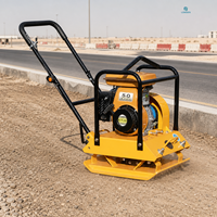 Compacteur à plaques vibrantes pour la compactation du sol, équipement pour la construction de chaussées et l'aménagement paysager