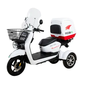 OEM/ODM-Motorräder und -Scooter für Erwachsene super-langstreckenfahrzeug, sicheres und elektrisches 3-Rad-Fahrzeug