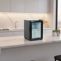 Mini réfrigérateur à boissons de 21 L, thermostat transparent, utilisation à domicile, bar, petit réfrigérateur