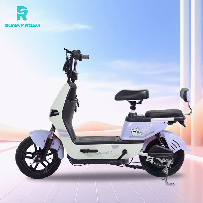 Pedalata Assistita Bici Elettrica Pieghevole Cinese Pedalata