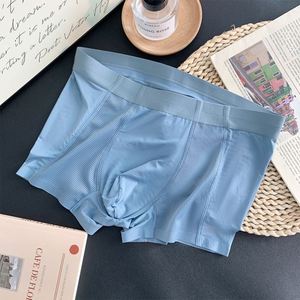 Ropa Interior Masculina Más Vendida, de Seda de Hielo, Sin Costuras, de una Pieza, Color Sólido, Transpirable, Antibacteriana, Calzoncillos Planos para Hombre - Product Image 2