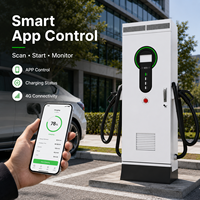 Station de recharge rapide DC pour véhicules électriques 30kW 40kW 60kW, simple/double borne, GB/T, IP54, montage au sol, OCPP 1.6J pour la recharge publique commerciale