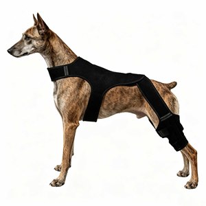 Orthopedic Dog Knee Brace Rear Leg Support <b>Harness</b> Pets with Hip <b>Harness</b> Leg Support for Walking Dog Back Knee Brace Adjustable - Product Image 1