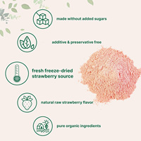 Poudre de fraise de qualité alimentaire pour adultes Health Tree – Complément alimentaire sain pour la santé quotidienne