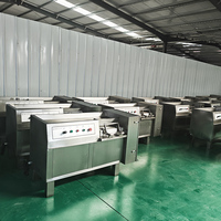 YouBan Industriële Vlees Snijmachine Multifunctionele Groente- en Fruitblokjesmachine
