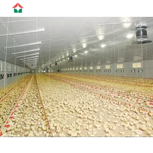 poultry farm design with bird cage for layers