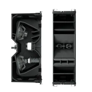Système de haut-parleurs double 12 "en néodyme Line Array Cabinet Box