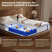 Matelas hybride COSTFULL de 10 pouces, fermeté moyenne, design moderne, utilisation pour lit d'école, soutien zoné multicouche, soutien lombaire supplémentaire, durable