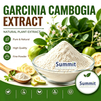 Extrait de Garcinia Cambogia, extrait naturel de plante en poudre, acide hydroxycitrique HCA pour complément alimentaire, matière première